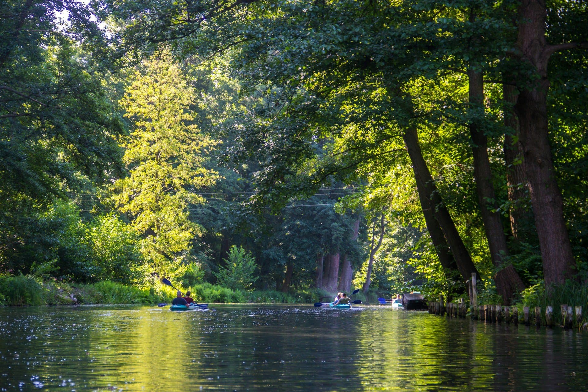 Waldschlösschen Runde: Kanu-Tour im Spreewald